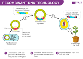 Dna Technology And Medicine